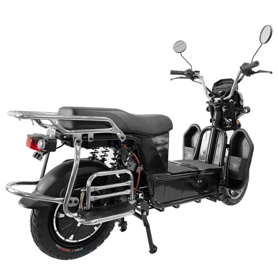 electric vehicles ladyboy head bumblebee front pocket lead-acid battery/lithium battery electric vehicles